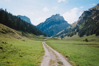 Alps Landscape