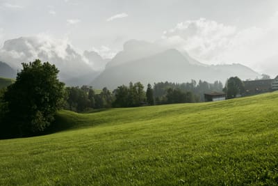 Alps Landscape
