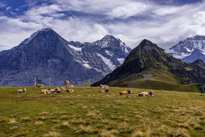 Alps Landscape