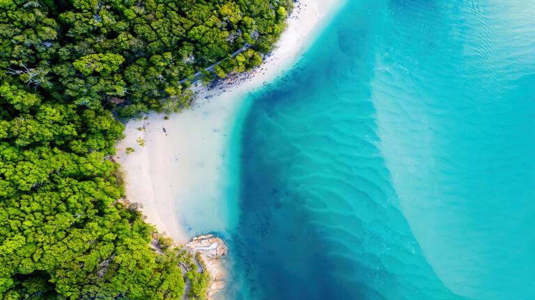 A stunning aerial view of a beach coastline and lush forest, presented in 4K resolution for use as a desktop wallpaper.