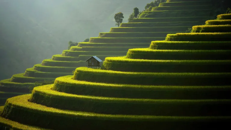 A stunning 4K wallpaper of a scenic view of lush green rice terraces in a valley.