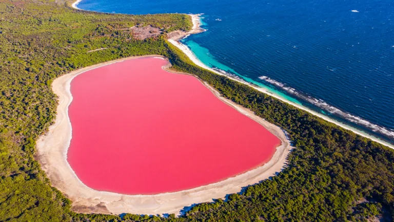 Experience the stunning beauty of Western Australia with this 4K wallpaper of Hillier Lake, a breathtaking pink lake surrounded by natural landscape scenery.