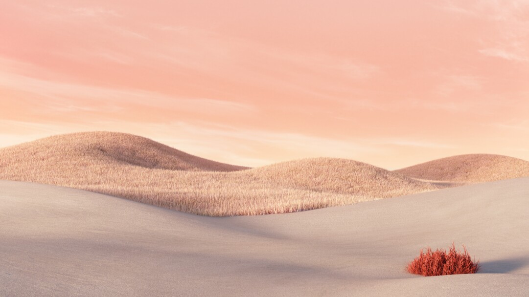 Experience the beauty of the desert with this stunning 4K wallpaper featuring a desert landscape with sandy dunes, perfect for Microsoft Surface devices.