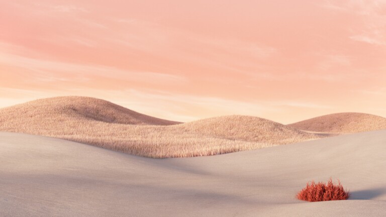 Experience the beauty of the desert with this stunning 4K wallpaper featuring a desert landscape with sandy dunes, perfect for Microsoft Surface devices.