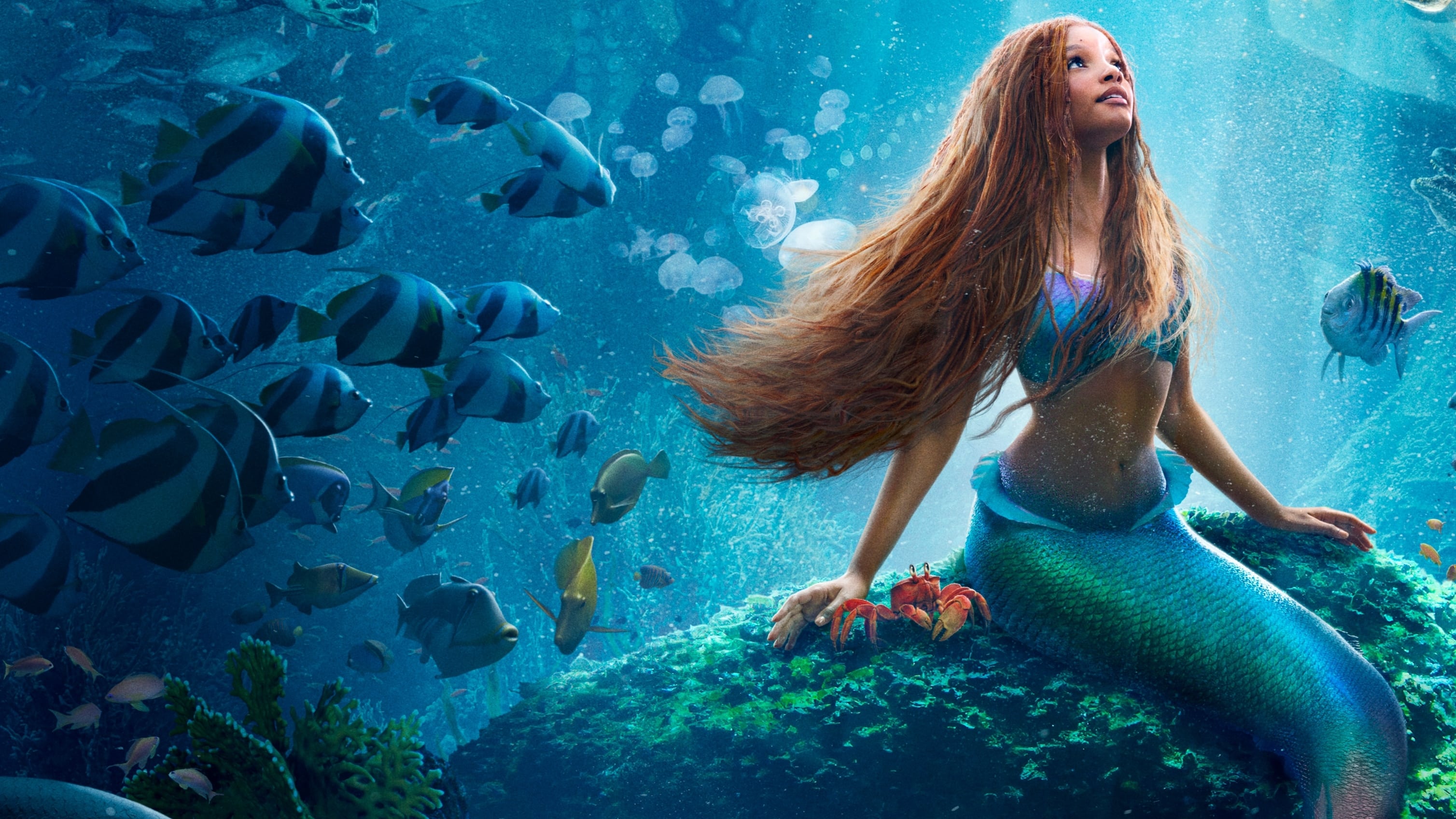 1411187 artist artwork hd 4k the little mermaid  Rare Gallery HD  Wallpapers