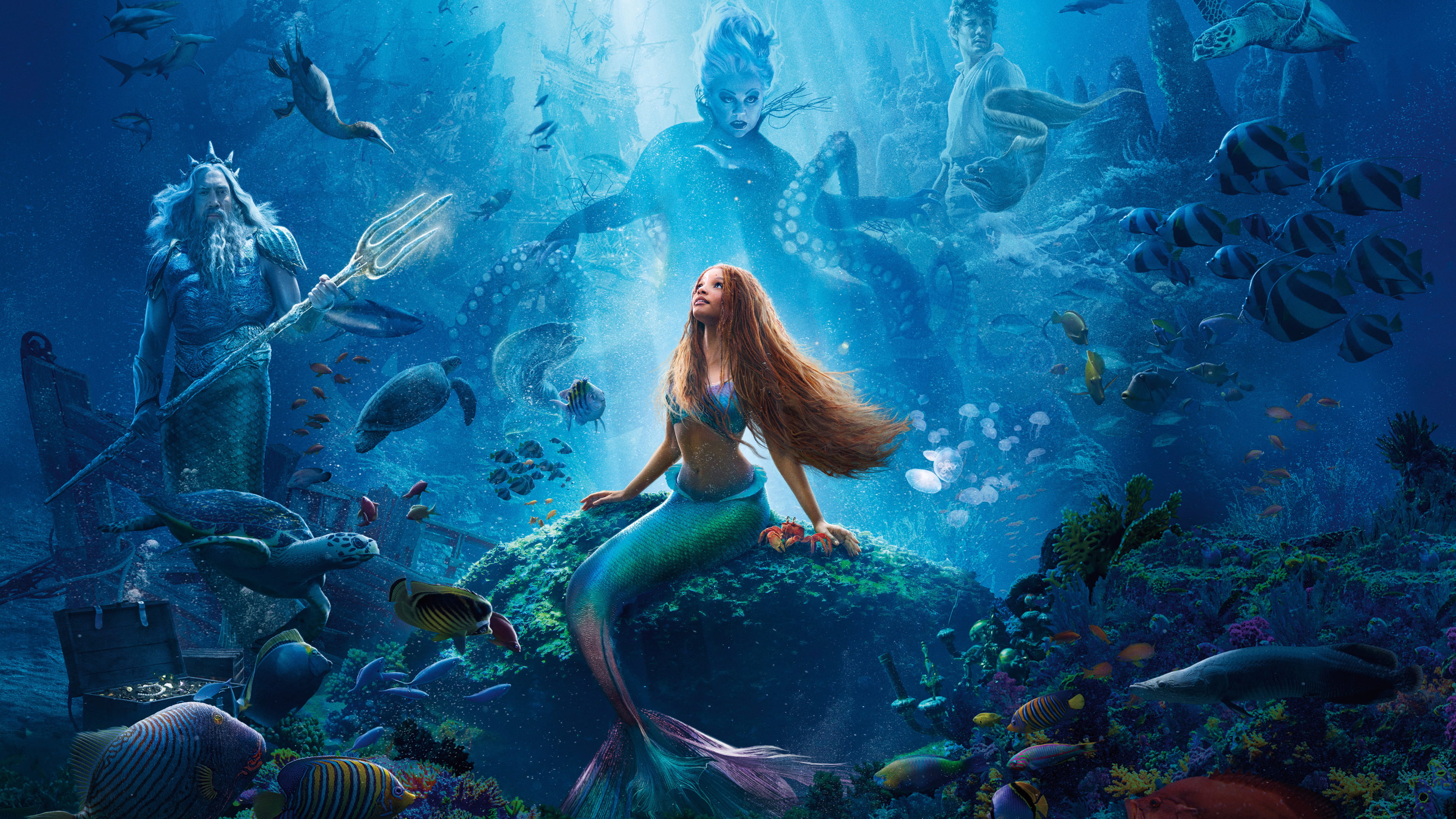 The Little Mermaid Movie 4K Wallpaper Pixground Download High