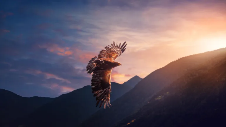 Experience the beauty of nature with this stunning 4K wallpaper featuring an eagle soaring over majestic mountains.