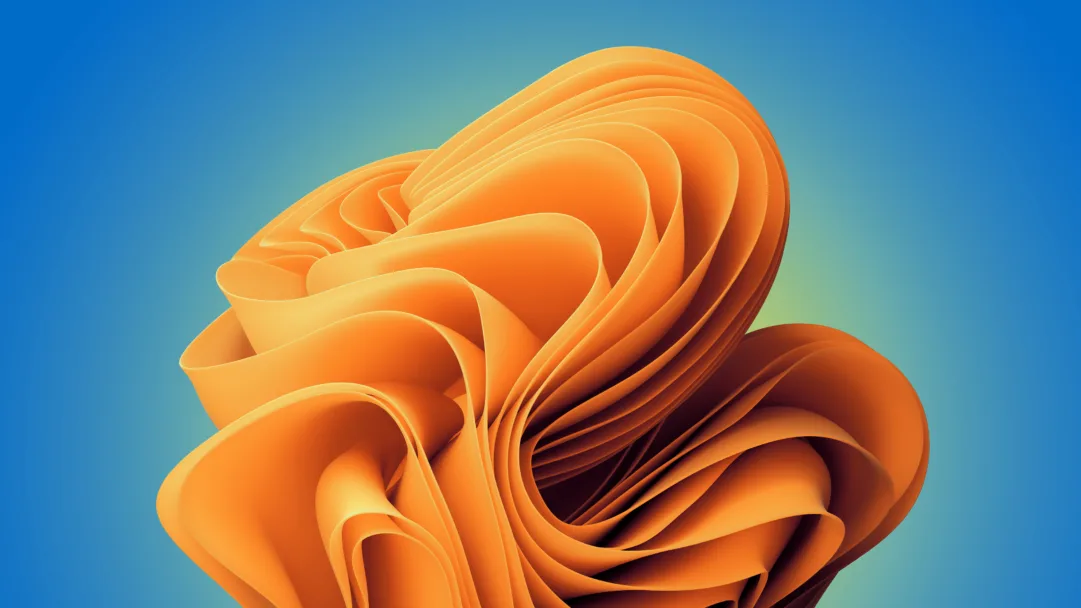 A vibrant orange abstract bloom showcased in a stunning 4k wallpaper for Windows 11.