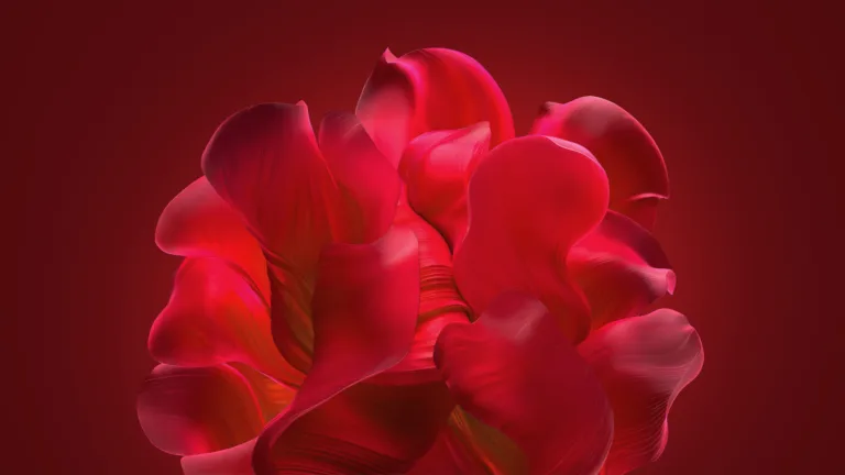A vibrant and modern abstract bloom background in stunning 4k resolution. This high-resolution desktop wallpaper features captivating shades of red with its intricate design and adds a touch of vibrancy to your screen.