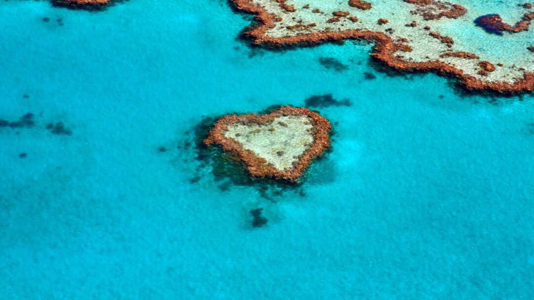 Dive into the romantic beauty of Heart Reef in the Great Barrier Reef, Australia, with this mesmerizing 4K wallpaper. Witness the intricate coral formation that resembles a heart, showcasing the stunning marine life beneath the ocean's surface. Perfect for travelers and those seeking a captivating underwater desktop background.