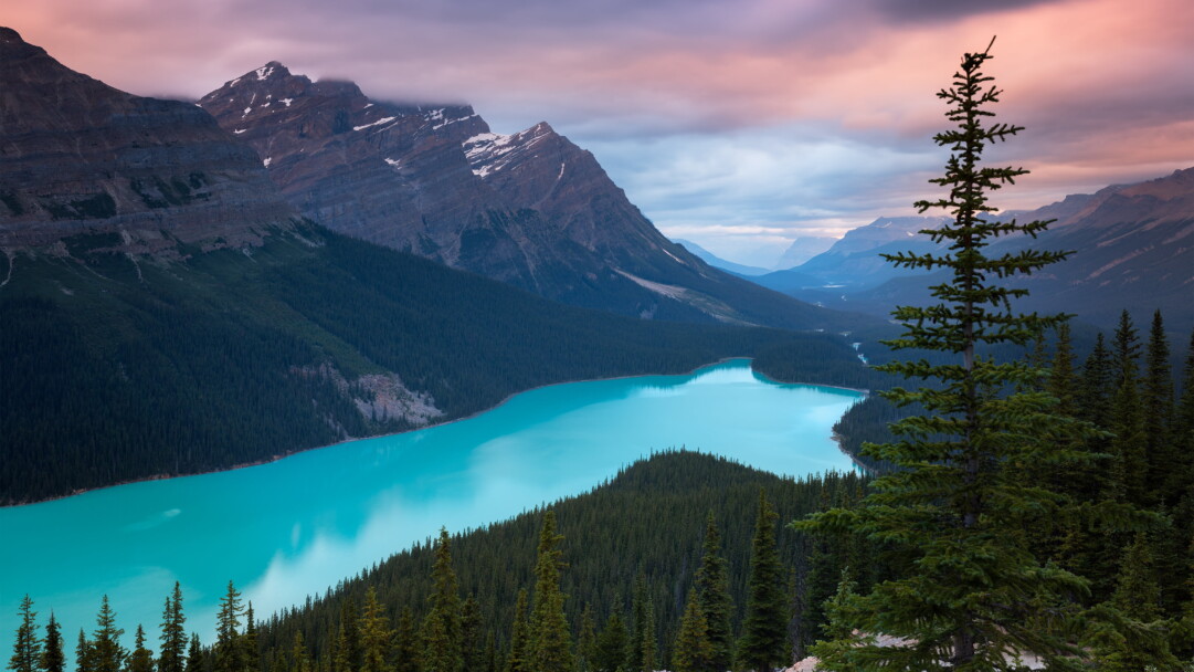 Immerse yourself in the serene beauty of Peyto Lake and the surrounding mountains in Alberta, Canada, with this captivating 4K wallpaper. The tranquil alpine landscape of Banff National Park offers a scenic and peaceful escape. Perfect for travelers and those seeking a desktop background that captures the natural tranquility and rugged beauty of this iconic Canadian destination.