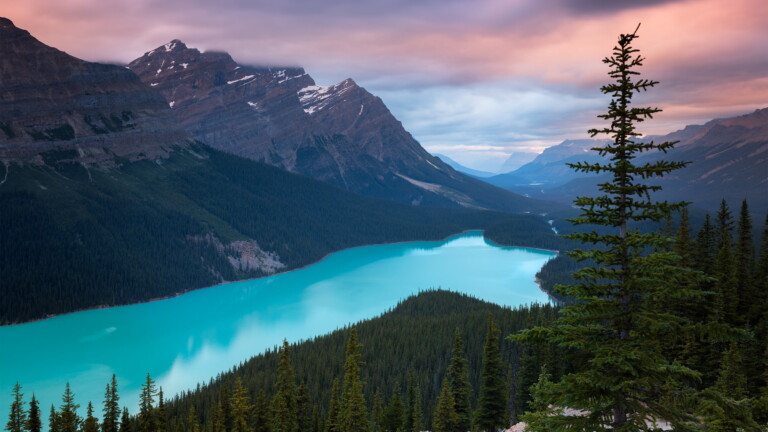 Immerse yourself in the serene beauty of Peyto Lake and the surrounding mountains in Alberta, Canada, with this captivating 4K wallpaper. The tranquil alpine landscape of Banff National Park offers a scenic and peaceful escape. Perfect for travelers and those seeking a desktop background that captures the natural tranquility and rugged beauty of this iconic Canadian destination.