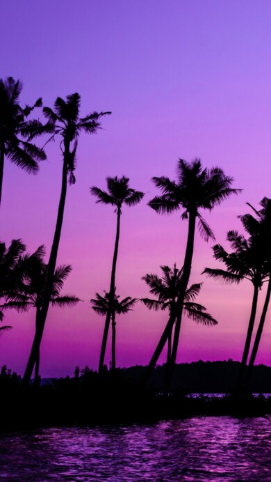 Experience the serenity of a purple sunrise over palm trees with this mesmerizing 4K wallpaper. Perfect for your high-resolution desktop background, it captures the beauty of a tropical beach landscape.