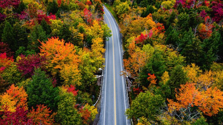 Immerse yourself in the picturesque beauty of autumn with this 4K wallpaper featuring a scenic road adorned by vibrant fall foliage. The colors of autumn create a mesmerizing landscape, perfect for high-resolution displays.