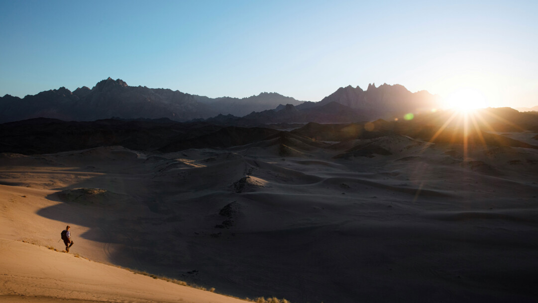 A mesmerizing 4K PC wallpaper captures the vast expanse of Saudi Arabia's sand dunes, stretching endlessly beneath a clear blue sky. The golden hues of the desert landscape create a serene and captivating scene, perfect for adorning your desktop with the beauty of nature's grandeur.