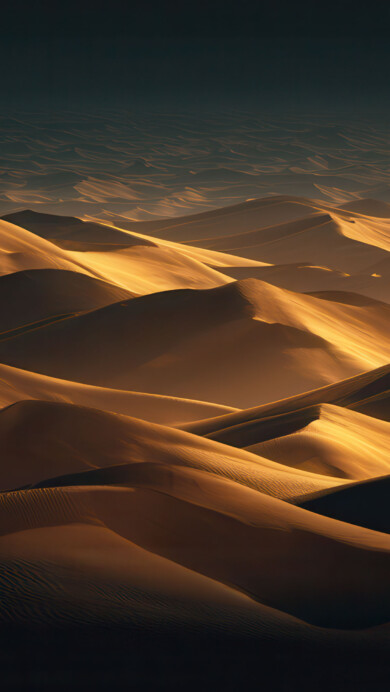 A stunning 4K wallpaper featuring vast waves of desert sand dunes bathed in the warm light of a low sun. This raking light intensely highlights the golden ridges and carves the landscape with deep, flowing shadows, conveying a sense of immense scale and tranquility.