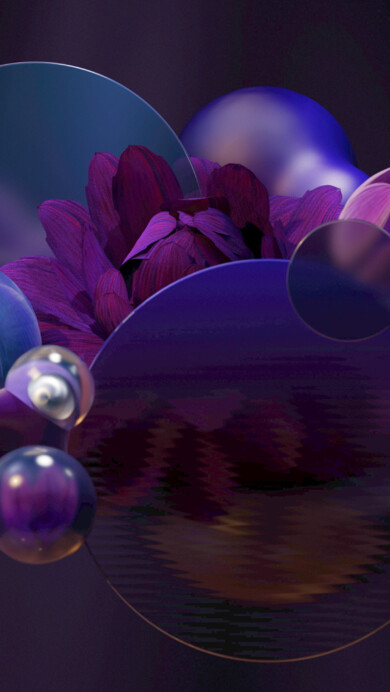 A captivating 4K wallpaper presenting an abstract arrangement of deep purple and blue floral elements intertwined with various reflective geometric shapes, set against a dark, softly lit purple background. The striking contrast between the soft, textured petals and the sleek, distorted reflections on the transparent and mirrored spheres creates an ethereal and futuristic aesthetic.