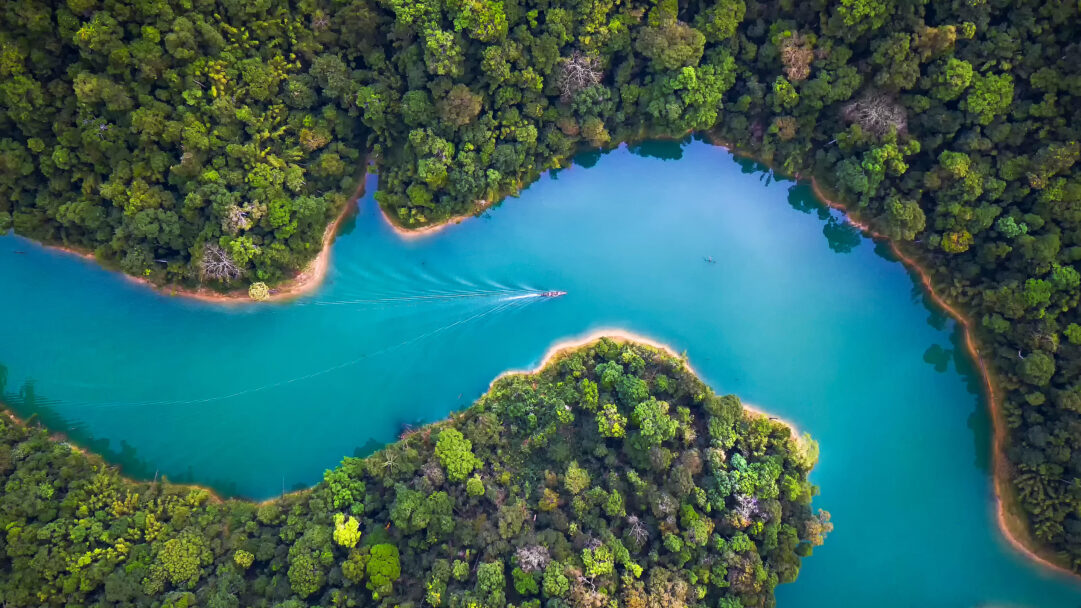 A captivating 4K wallpaper presents an aerial view of Khao Sok National Park, where a brilliant turquoise lake snakes through a dense, emerald green forest. A small boat gracefully traverses the stunning turquoise waters, leaving a subtle white wake that enhances the serene and expansive beauty of this natural wonder.