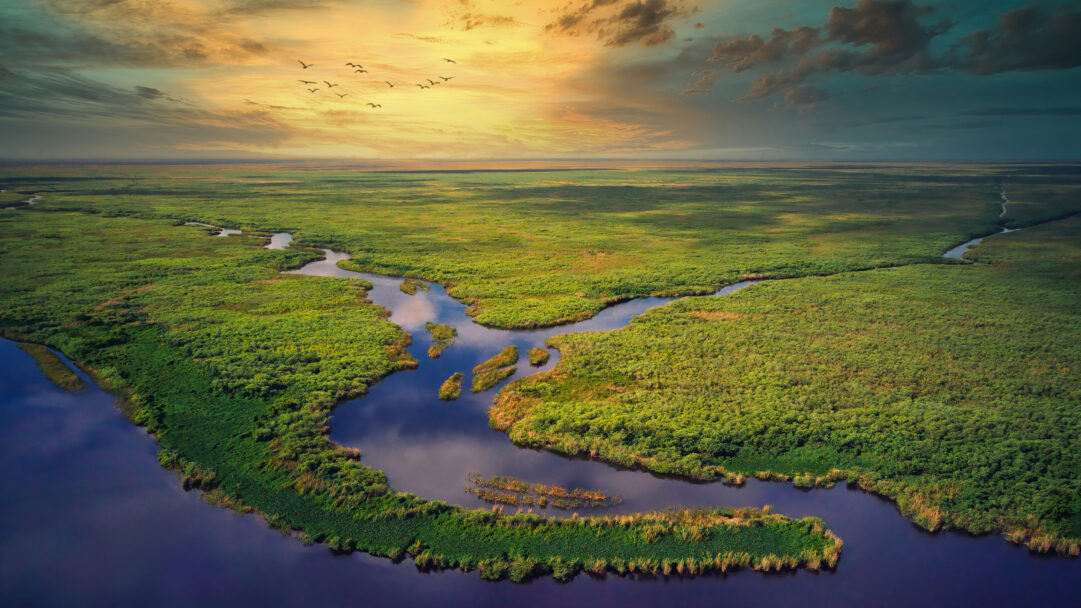 A breathtaking 4K wallpaper captures an expansive aerial view of Everglades National Park's winding rivers through a vast green marshland. The vibrant sunset sky, transitioning from golden to deep teal, casts a captivating glow over the water, enhanced by the silhouette of birds soaring overhead.