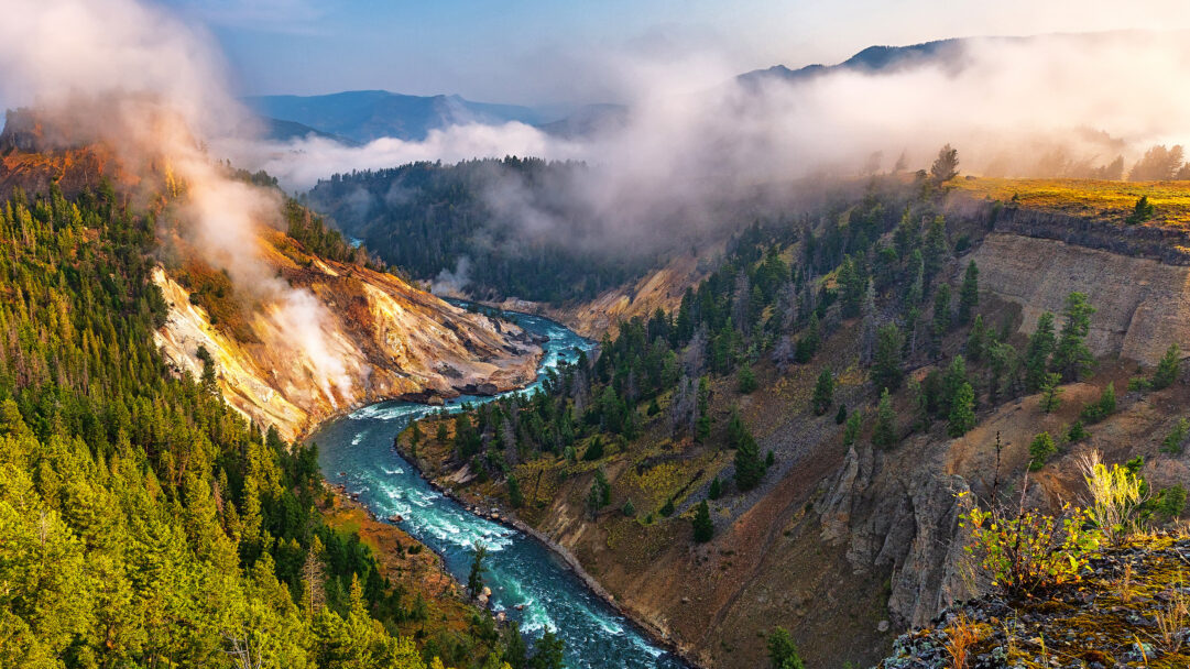 A mystical 4K wallpaper presents the Yellowstone River winding through a dramatic, foggy canyon as seen from the Calcite Springs Overlook. Wisps of sun-kissed fog cling to the vibrant orange and white mineral-stained cliffs, contrasting beautifully with the deep green pine forests and the river's brilliant turquoise water below.