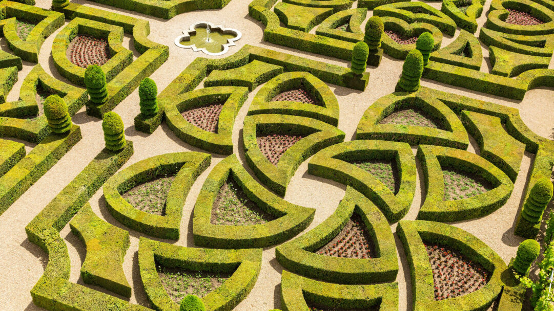 A breathtaking 4K wallpaper capturing the meticulously manicured, geometric topiary patterns of Château de Villandry's elaborate formal gardens. Lush green hedges form a mesmerizing labyrinth of swirling and angular shapes, beautifully contrasted by sun-dappled gravel paths and occasional beds of small red blooms.