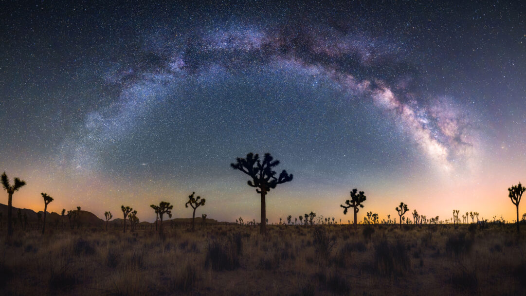 An ethereal 4K wallpaper showcasing Joshua trees silhouetted against a vast desert landscape under a pristine night sky. The brilliant, sweeping arc of the Milky Way, shimmering with countless stars and cosmic dust, dominates the celestial expanse above a subtly lit horizon.