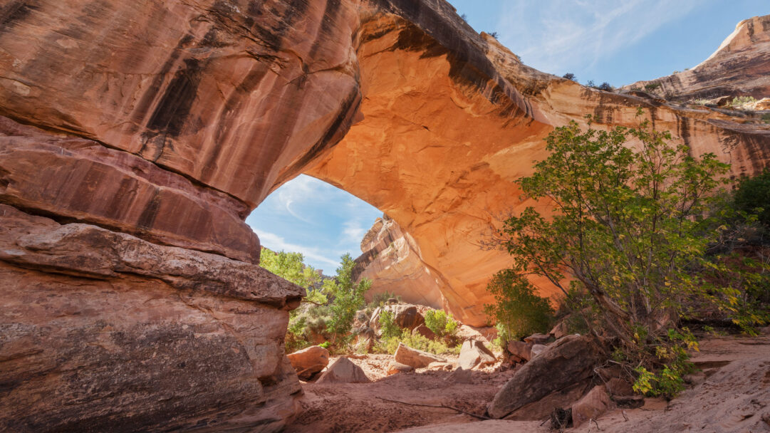 An awe-inspiring 4K wallpaper captures the majestic Kachina Bridge, a massive natural arch rock formation dominating a sun-drenched desert landscape. Its monumental red sandstone arch, with dark streaks of desert varnish, frames a bright blue sky, creating a dramatic interplay of light and shadow over the rugged terrain below.