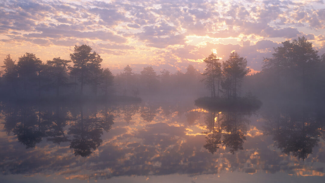 A breathtaking 4K wallpaper presents Knuthöjdsmossen, Sweden, where a misty lake is enveloped in the soft glow of a sunrise. The golden-orange and lavender clouds of dawn are perfectly mirrored on the still water, creating a tranquil and ethereal reflection amidst the silhouetted trees.