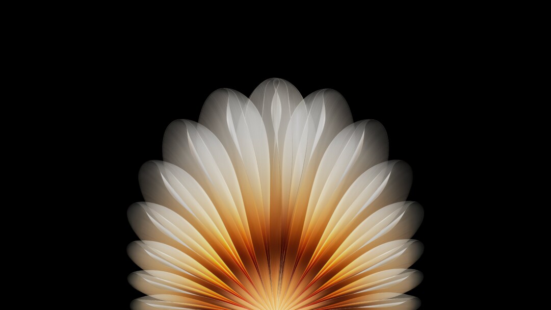 A radiant 4K wallpaper features an abstract floral arrangement of numerous golden and white petals fanning upwards against a deep black background. The luminous golden glow intensifies at the core, gently fading into delicate, translucent white edges, creating a mesmerizing sense of unfolding light.