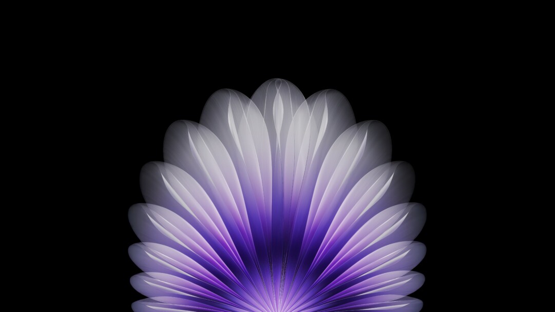 Vibrant Purple Abstract Floral Fan Wallpaper