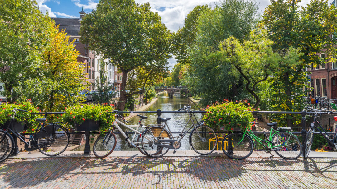 A vibrant 4K wallpaper showcasing bicycles parked along a historic canal bridge in Utrecht, with a serene canal flowing beneath. Sunlight illuminates the colorful foliage and bright red flowers on the bridge, casting long shadows on the brickwork and highlighting the city's lively, inviting atmosphere.