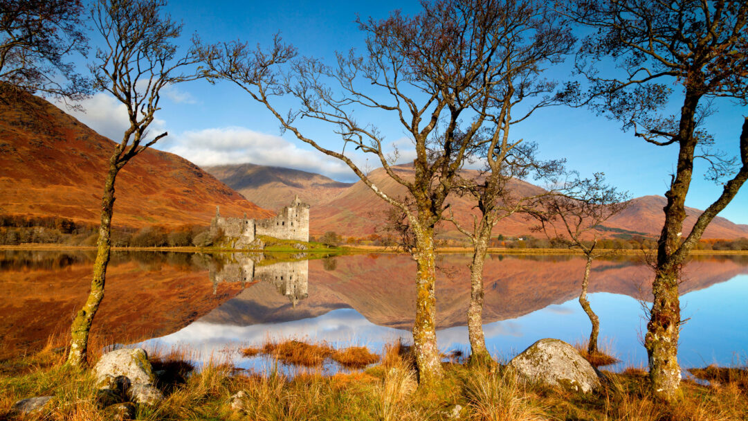 A breathtaking 4K wallpaper showcasing Kilchurn Castle standing majestically on a small peninsula in Loch Awe, surrounded by vibrant, rust-colored mountains under a clear blue sky. Its historic stone walls and the surrounding autumnal landscape are perfectly mirrored in the still, deep blue waters, creating a serene and symmetrical vista framed by the gnarled branches of foreground trees.