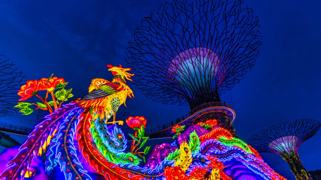 A magical 4K wallpaper of a magnificent Phoenix lantern illuminating the night at Gardens by the Bay in Singapore during the Mid-Autumn Festival. Its multi-colored, glowing feathers and intricate details stand out brilliantly against the deep blue night sky, complemented by the ethereal glow of the Supertree Grove.