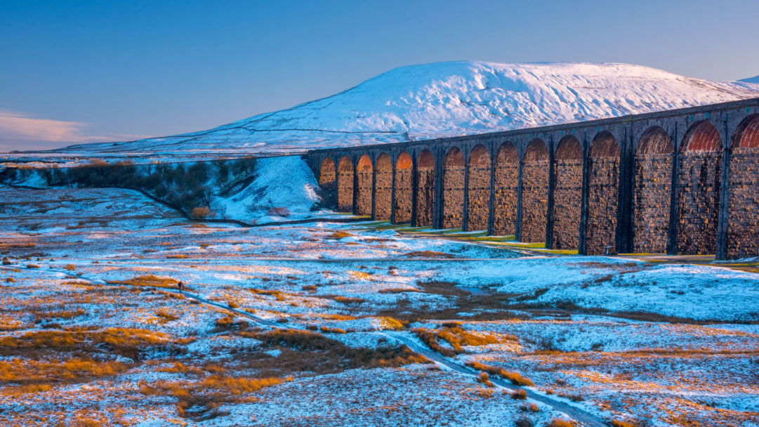 A majestic 4K wallpaper presenting the Ribblehead Viaduct curving across a vast, snow-dusted winter landscape with Ingleborough Mountain rising grandly in the background. Golden sunlight intensely highlights the viaduct's rugged arches and patches of frosted moorland grass, creating a vibrant contrast against the stark blue sky and the brilliant white snow, with a lone figure traversing an icy path below.