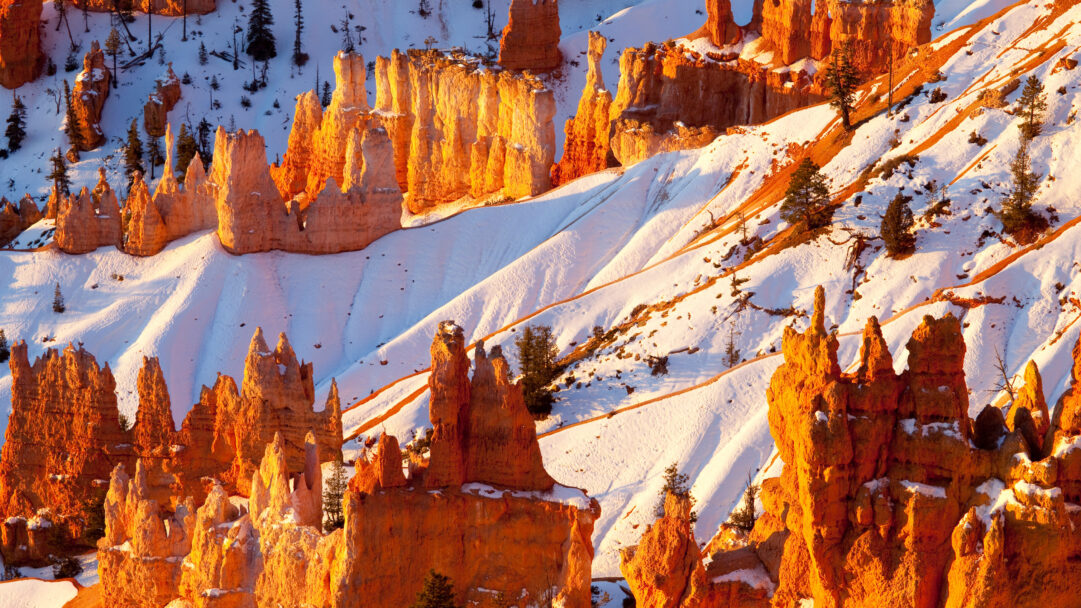 A breathtaking 4K wallpaper showcasing a winter snow landscape of sandstone hoodoos in Bryce Canyon National Park. Golden sunlight dramatically illuminates the vibrant orange hoodoos, creating a striking contrast against the pristine white snow and cool shadows of the winter landscape.
