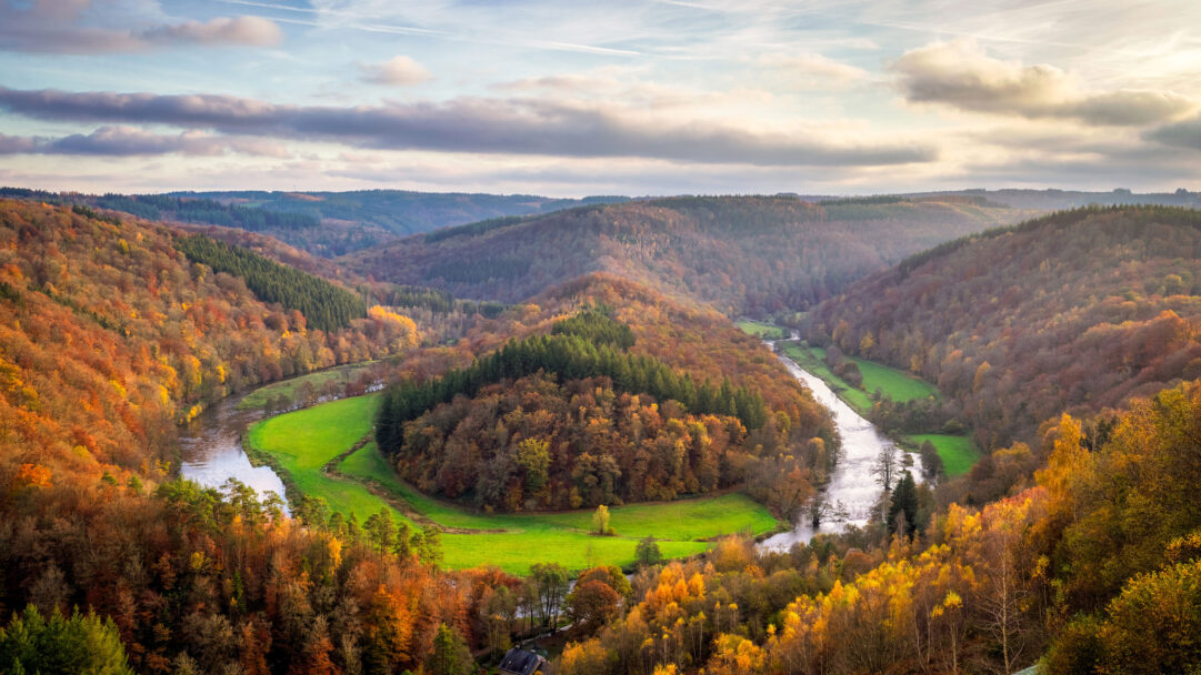 A breathtaking 4K wallpaper showcases the iconic Tombeau du Géant in the Semois Valley, where the meandering Semois River carves a dramatic U-bend through a vibrant autumn landscape. Golden and fiery autumnal foliage blankets the rolling hills and the prominent Giant's Tomb peninsula, reflecting the warm, diffused sunlight under a softly clouded sky.