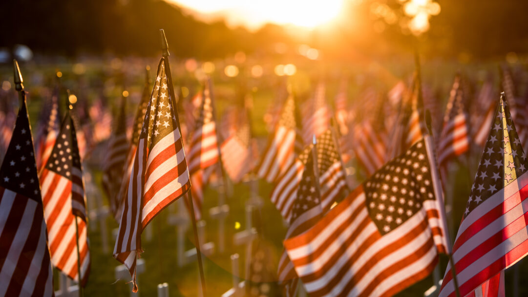 A poignant 4K wallpaper showcasing an expansive field reverently adorned with countless American flags, marking a Memorial Day tribute. The radiant golden light of the setting sun bathes the scene, highlighting the patriotic colors and imbuing the landscape with a profound sense of honor and remembrance.