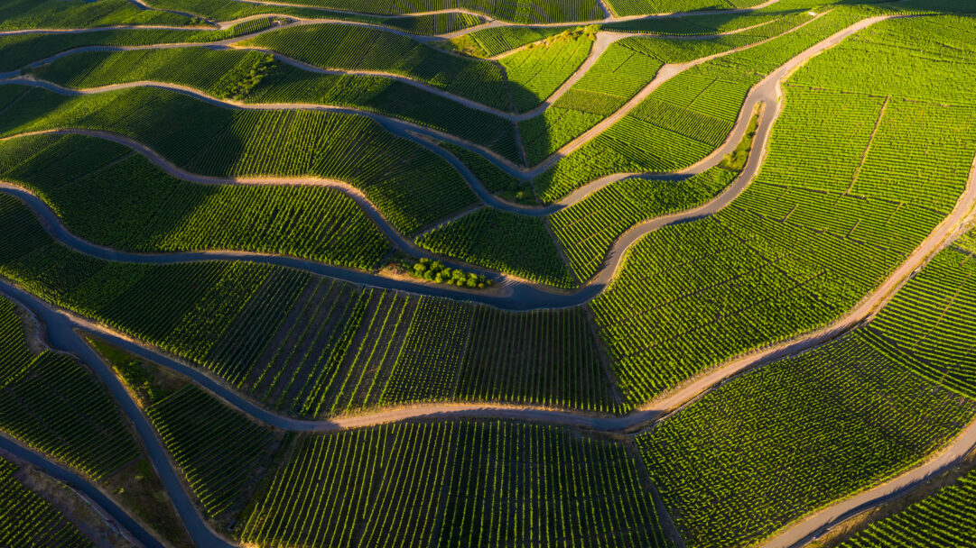 Mosel Valley Vineyards Winding Roads Aerial Wallpaper