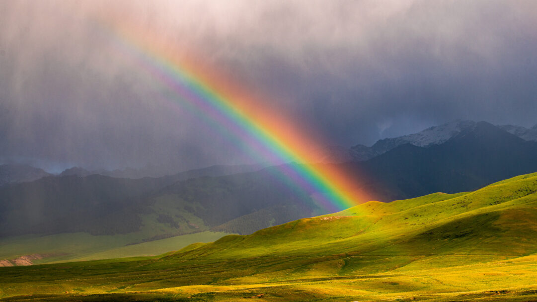 A breathtaking 4K wallpaper featuring a vibrant rainbow arching over expansive green hills in the At-bashy District of Kyrgyzstan. The sun-drenched lower slopes glow in brilliant greens and yellows, creating a striking contrast against the dark, stormy clouds and majestic snow-dusted mountains in the distance.