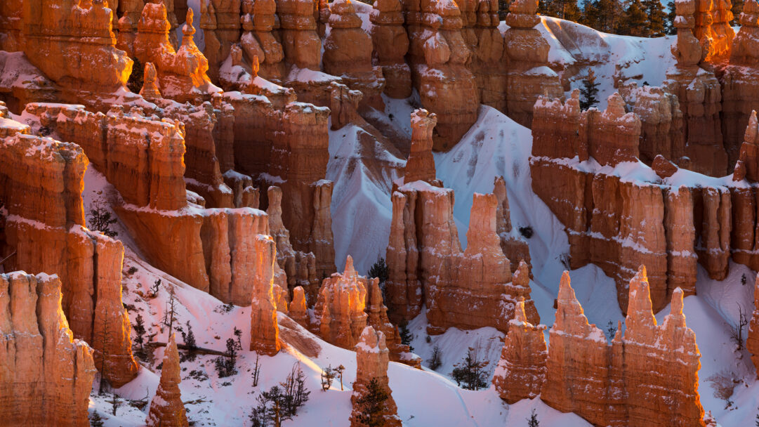 A majestic 4K wallpaper showcases the unique winter landscape of Bryce Canyon National Park, Utah, where countless snow-capped hoodoos rise from the dramatic basin. Golden light bathes the orange rock formations, sharply contrasting with the pristine white snow that blankets the ground and caps the intricate pinnacles, creating a serene and stunning scene.