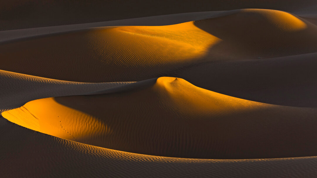 A captivating 4K wallpaper depicting the vast, undulating desert dunes of the Sahara in Algeria. Golden light from the last sun rays dramatically illuminates the ridged crests and sloping faces of the sand, casting deep, contrasting shadows that emphasize their majestic forms.