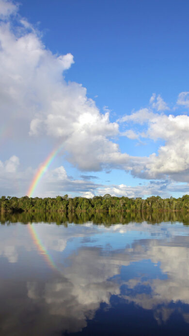 An enchanting 4K wallpaper captures the serene Río Negro in the Amazon Basin, Brazil, beneath a vast blue sky. A vivid rainbow gracefully arches over the distant green tree line, its full spectrum beautifully mirrored on the calm, dark surface of the river, creating a magical sense of wonder.