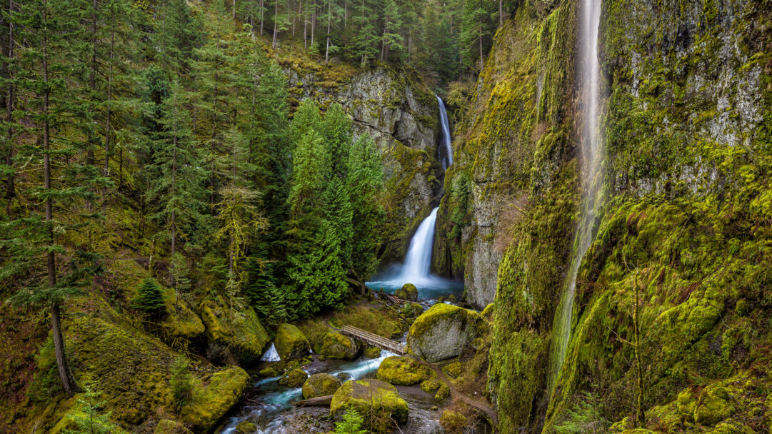 An immersive 4K wallpaper capturing Wahclella Falls, a powerful waterfall cascading amidst the lush, moss-covered forest of the Columbia River Gorge in Oregon. The vibrant greens of the dense foliage and moss-laden cliffs are intensely highlighted by the misty white waters of the falls and the clear, blue-tinted river flowing over rocks, creating a serene and captivating natural scene.