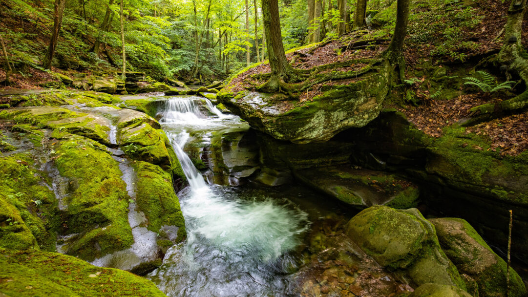 A captivating 4K wallpaper showcasing Bear Hole Brook Waterfall cascading through the lush Catskill Mountains forest in New York. The soft, ethereal blur of the waterfall contrasts with the vibrant, emerald-green moss covering ancient rocks and tree roots, creating a tranquil and immersive natural scene.