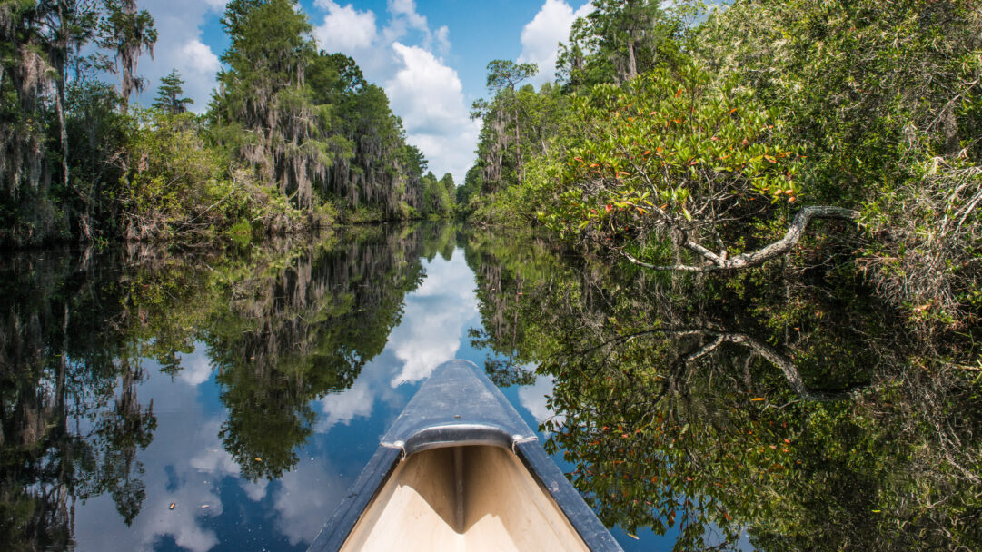 A tranquil 4K wallpaper captures the bow of a canoe gently traversing a narrow waterway within the Okefenokee National Wildlife Refuge in Georgia, flanked by cypress trees draped with Spanish moss. The calm, dark water perfectly reflects the vibrant blue sky with fluffy white clouds and the lush green banks, creating a stunning, almost dreamlike symmetry.