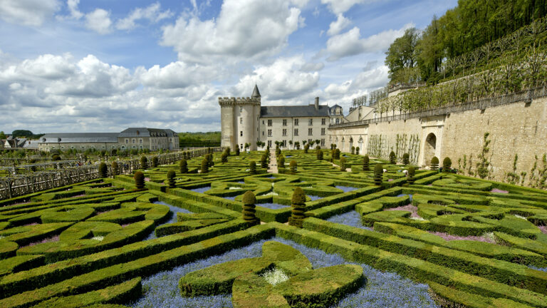 An exquisite 4K wallpaper showcasing the majestic Château de Villandry and its expansive French Renaissance Gardens in the picturesque Loire Valley, France. Meticulously manicured green hedges form intricate geometric patterns, beautifully contrasted by carpets of vibrant blue and purple flowers, all bathed in bright sunlight under a dynamic sky.