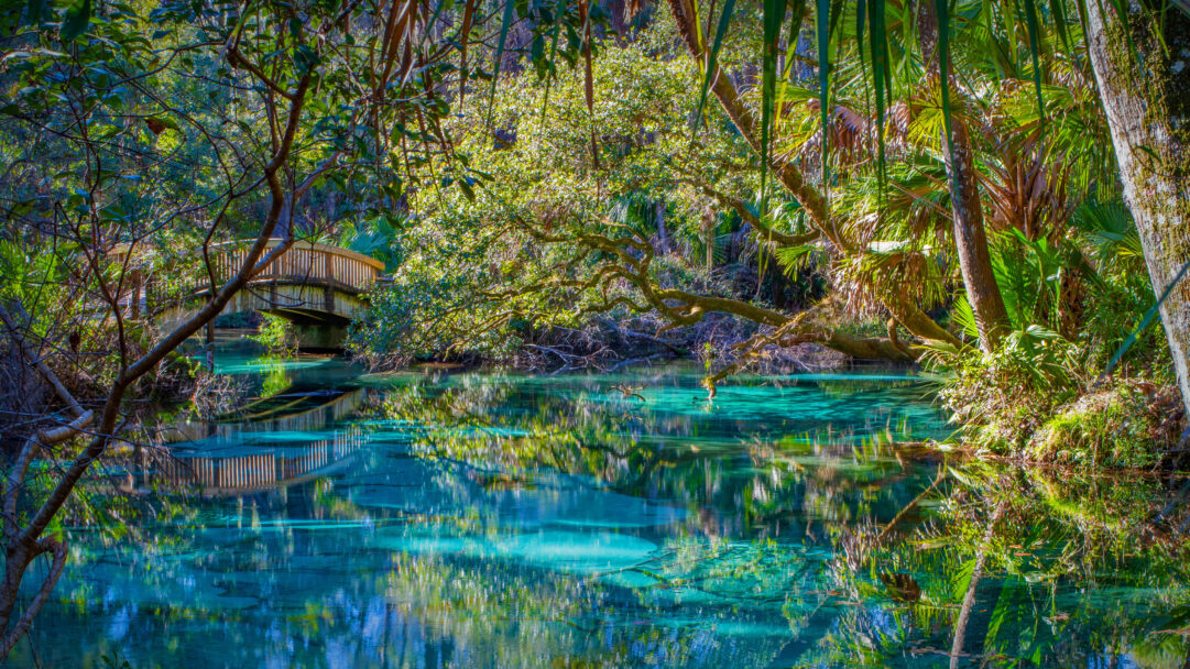 A breathtaking 4K wallpaper captures the tranquil beauty of Juniper Springs in Florida's Ocala National Forest, featuring its clear turquoise spring water flowing under a charming wooden bridge. The vivid, almost glowing turquoise water shimmers with reflections of the surrounding lush green foliage and dappled sunlight, creating a deeply serene and inviting natural scene.