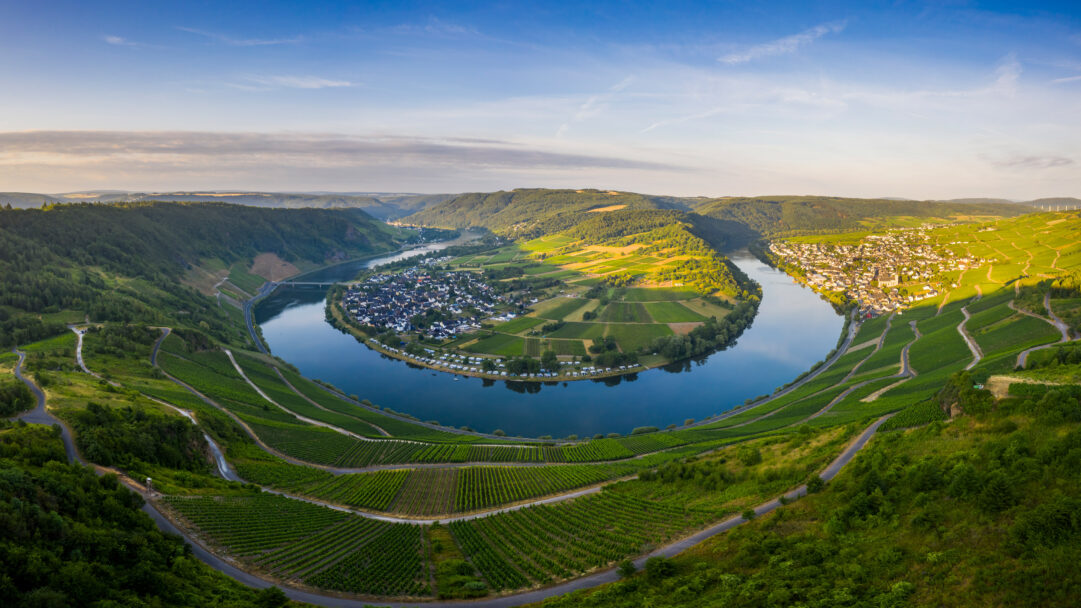 A breathtaking 4K wallpaper presents the iconic Moselle River loop in Kröv, Germany, nestled within a verdant valley of rolling hills and surrounding towns. Golden light bathes the expansive, terraced vineyards that meticulously line the river's dramatic U-bend, creating a serene and picturesque landscape.