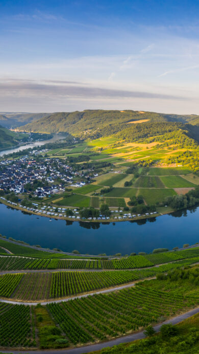 A breathtaking 4K wallpaper presents the iconic Moselle River loop in Kröv, Germany, nestled within a verdant valley of rolling hills and surrounding towns. Golden light bathes the expansive, terraced vineyards that meticulously line the river's dramatic U-bend, creating a serene and picturesque landscape.