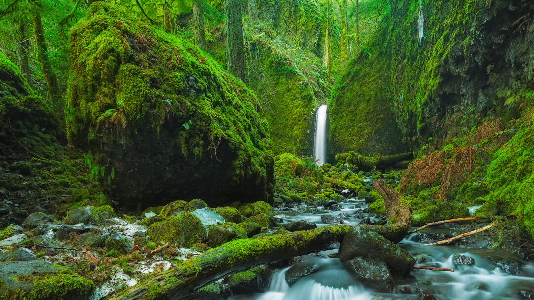A mesmerizing 4K wallpaper showcases the Mossy Grotto Falls in Oregon's Columbia River Gorge, where a graceful waterfall plunges into a vibrant, moss-covered forest grotto. The scene is defined by the incredible vibrancy of emerald moss blanketing every rock and tree, contrasted with the silky, long-exposure flow of the stream and waterfall.